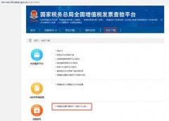 增值税专用发票电子化试点开票软件（税
